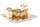 Cookie Dough Lover's Cheesecake with Pecans